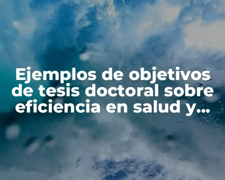 Ejemplos de objetivos de tesis doctoral sobre eficiencia en salud y Significado
