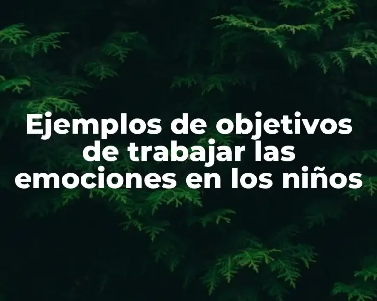 Ejemplos de objetivos de trabajar las emociones en los niños