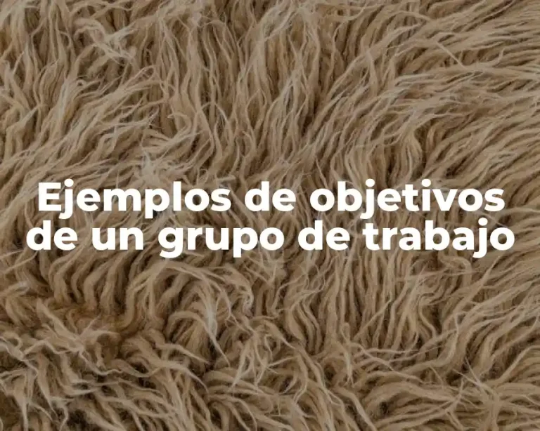 Ejemplos de objetivos de un grupo de trabajo
