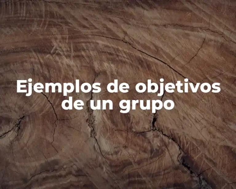 Ejemplos de objetivos de un grupo