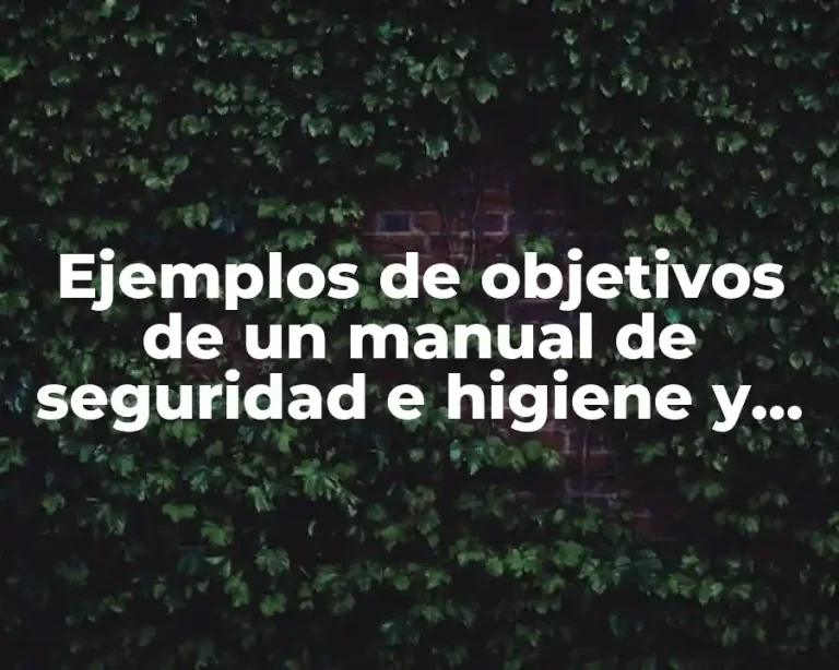 Ejemplos de objetivos de un manual de seguridad e higiene y Significado
