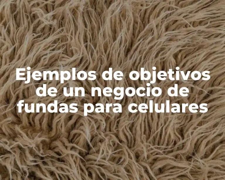Ejemplos de objetivos de un negocio de fundas para celulares