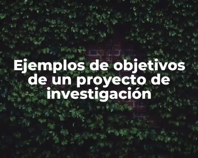 Ejemplos de objetivos de un proyecto de investigación