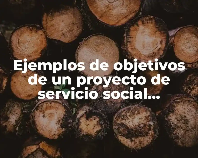 Ejemplos de objetivos de un proyecto de servicio social universitario