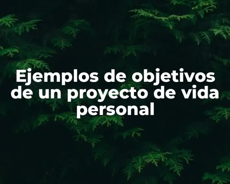 Ejemplos de objetivos de un proyecto de vida personal