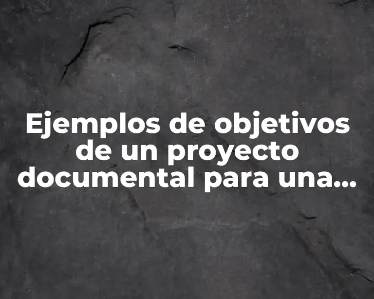 Ejemplos de objetivos de un proyecto documental para una empresa