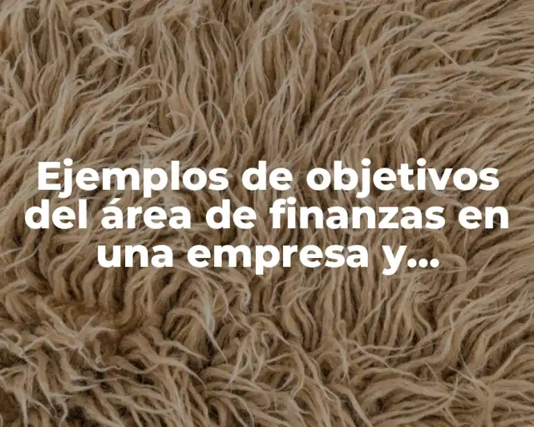 Ejemplos de objetivos del área de finanzas en una empresa y Significado