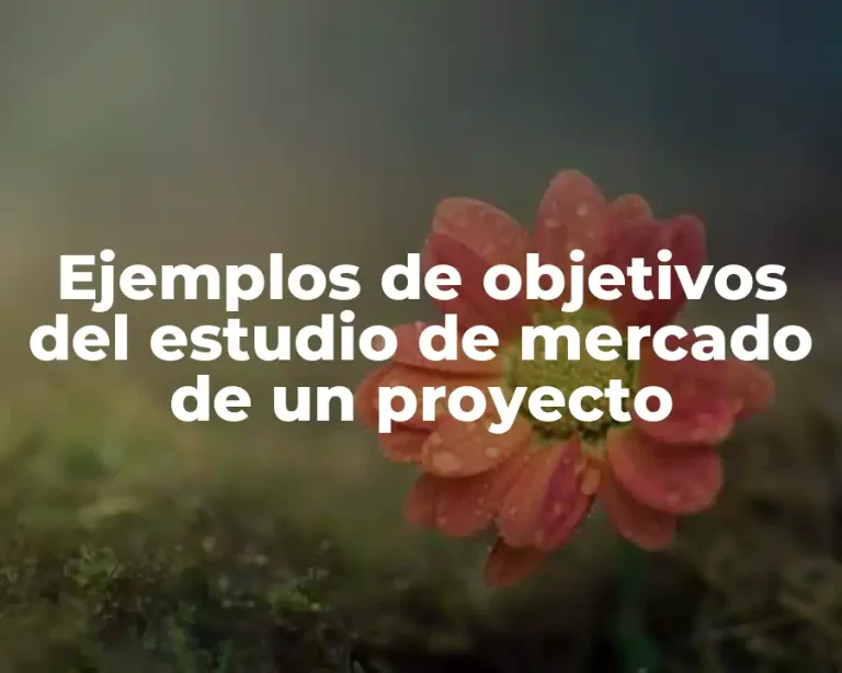 Ejemplos de objetivos del estudio de mercado de un proyecto
