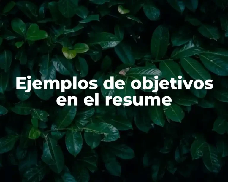Ejemplos de objetivos en el resume