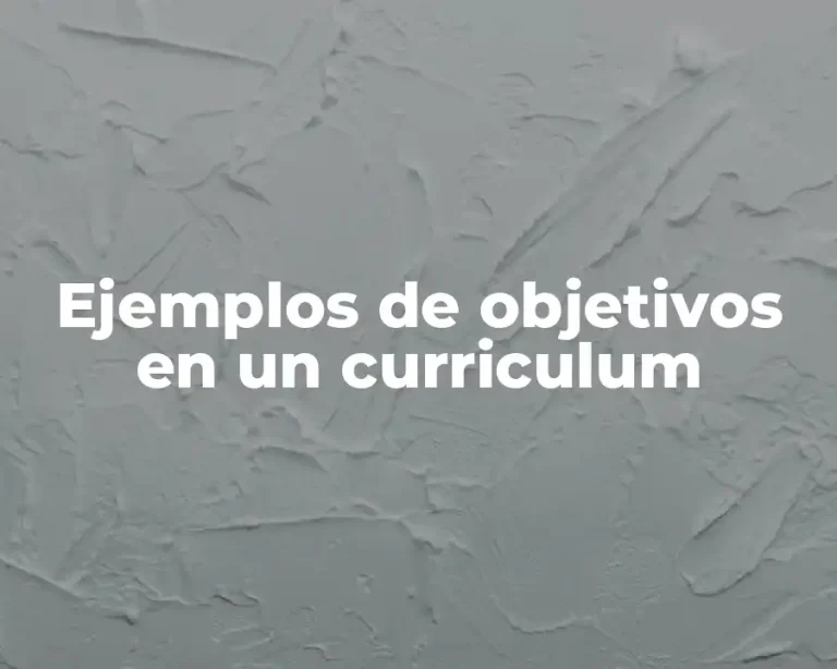 Ejemplos de objetivos en un curriculum