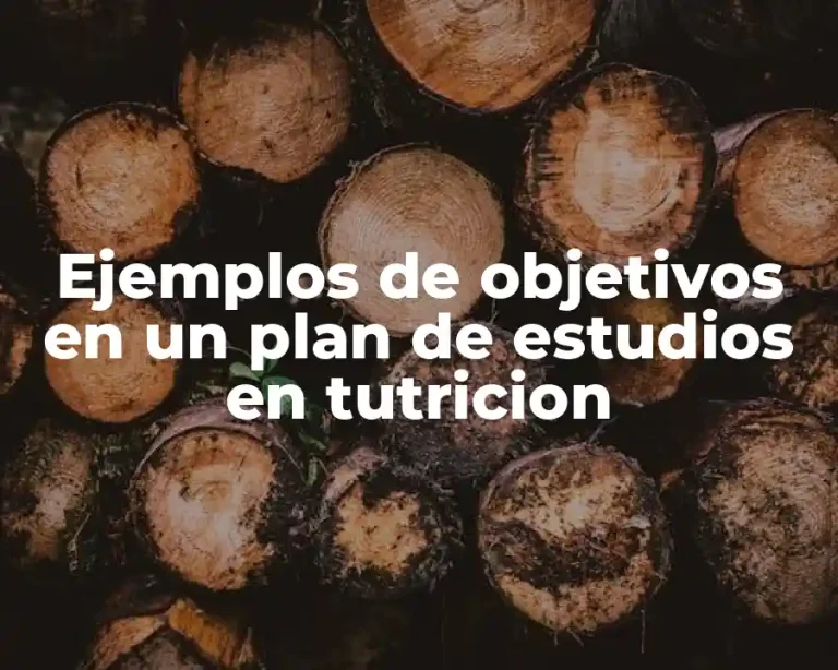 Ejemplos de objetivos en un plan de estudios en tutricion
