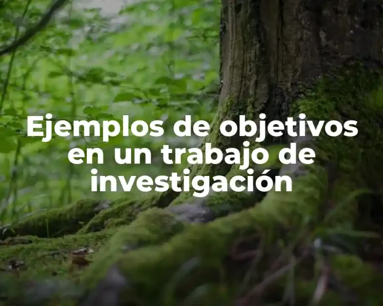 Ejemplos de objetivos en un trabajo de investigación