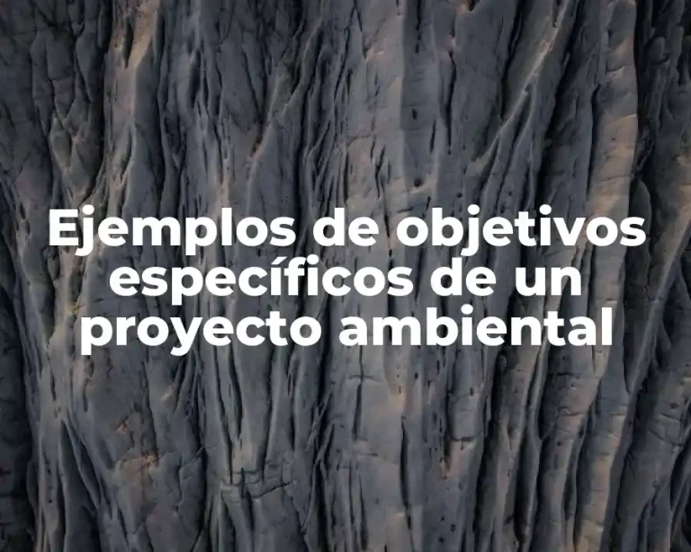 Ejemplos de objetivos específicos de un proyecto ambiental