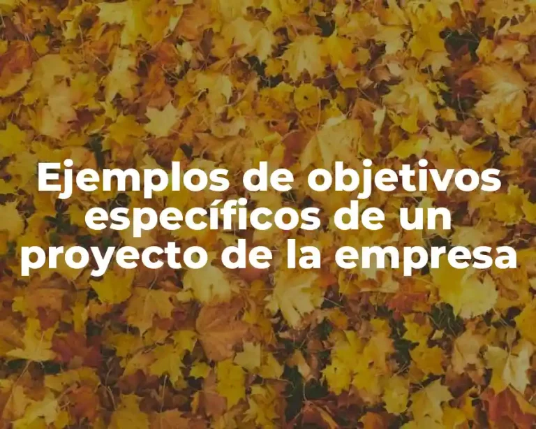 Ejemplos de objetivos específicos de un proyecto de la empresa