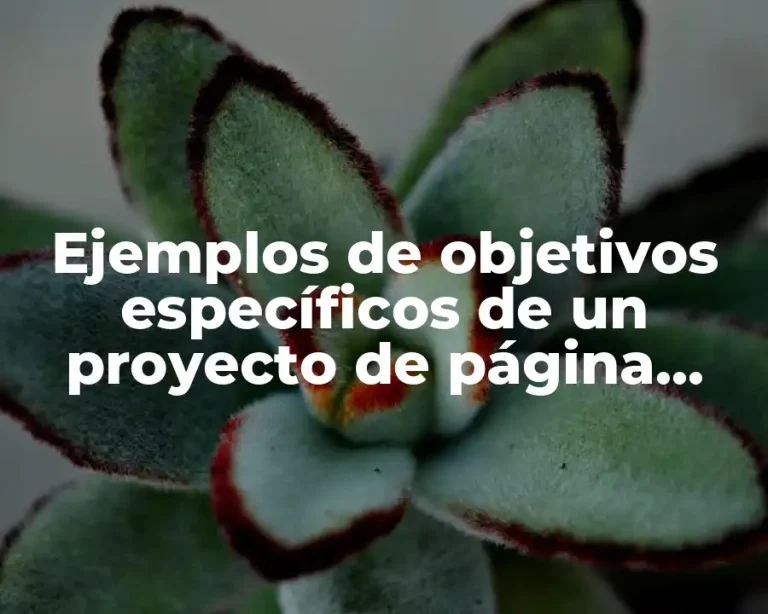 Ejemplos de objetivos específicos de un proyecto de página web