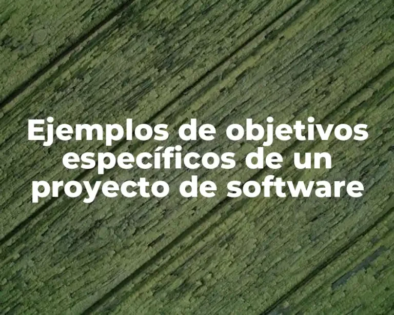 Ejemplos de objetivos específicos de un proyecto de software