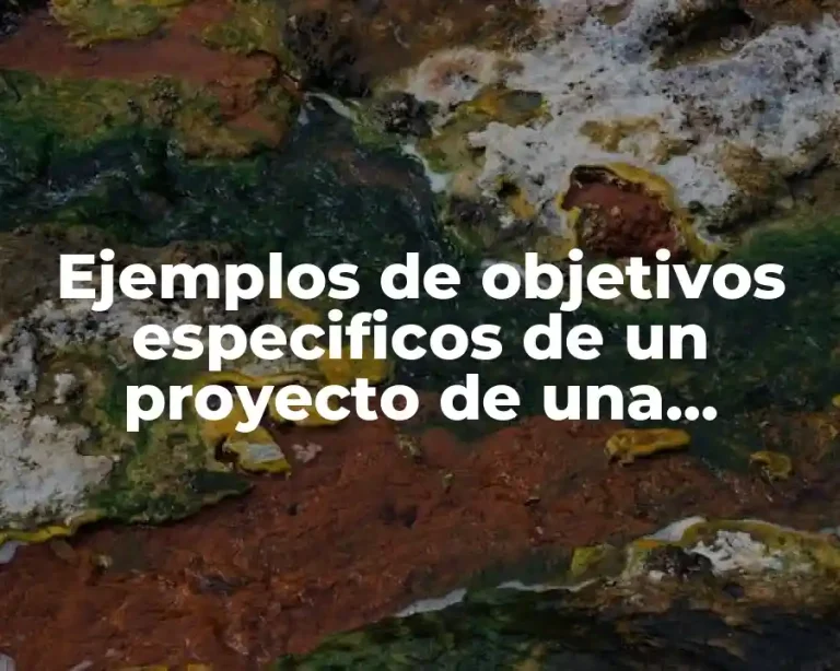 Ejemplos de objetivos especificos de un proyecto de una máquina