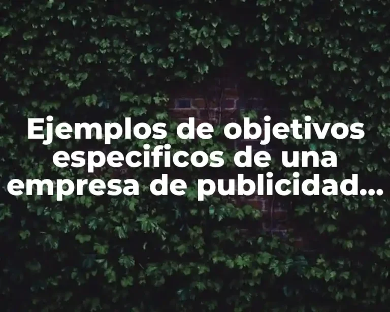 Ejemplos de objetivos especificos de una empresa de publicidad y Significado