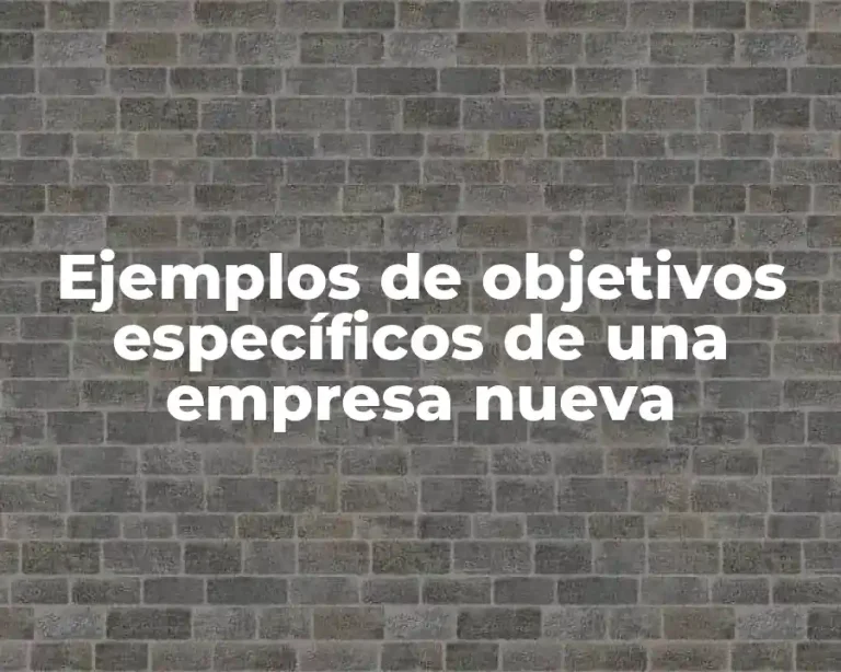 Ejemplos de objetivos específicos de una empresa nueva