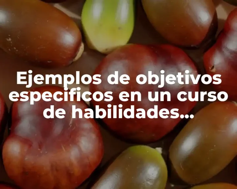 Ejemplos de objetivos especificos en un curso de habilidades transversales