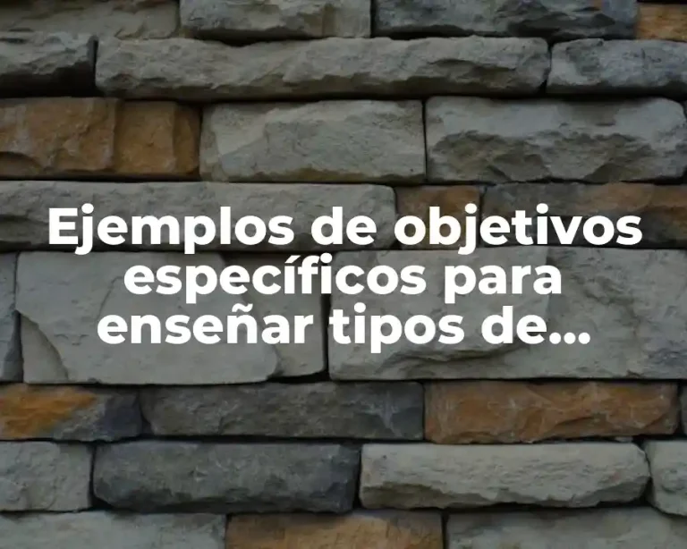 Ejemplos de objetivos específicos para enseñar tipos de fracciones que