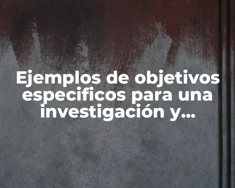 Ejemplos de objetivos especificos para una investigación y Significado