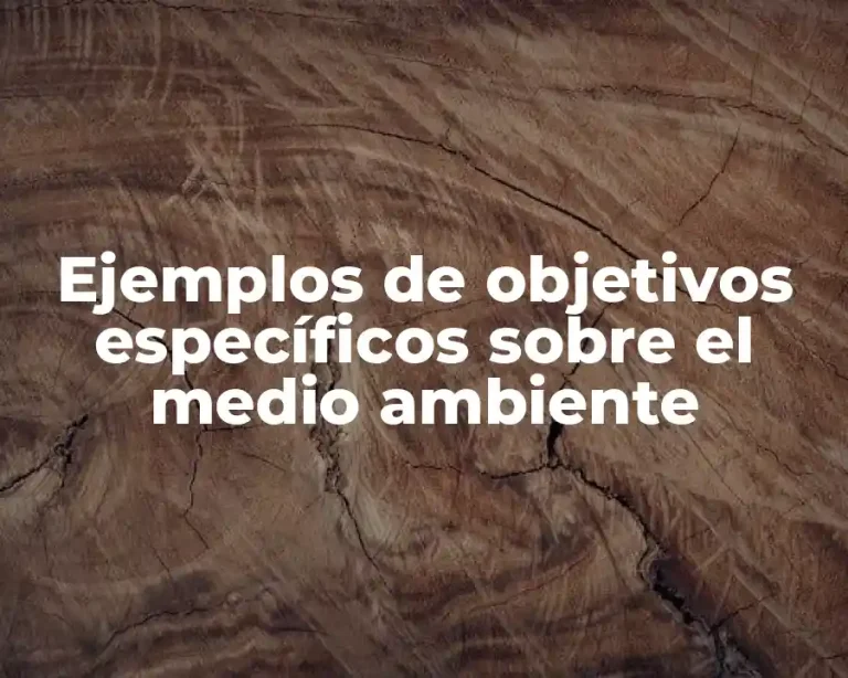 Ejemplos de objetivos específicos sobre el medio ambiente