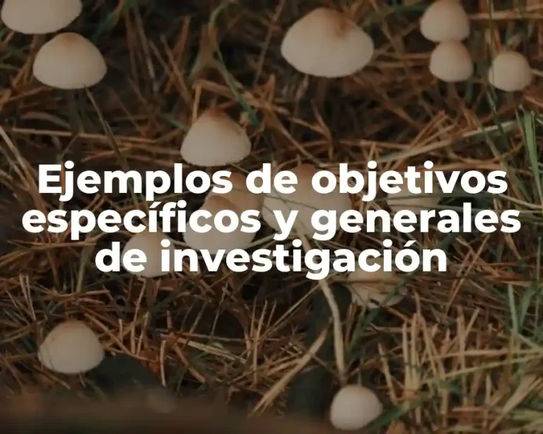 Ejemplos de objetivos específicos y generales de investigación