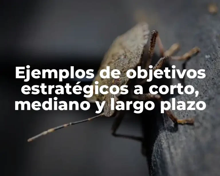 Ejemplos de objetivos estratégicos a corto, mediano y largo plazo