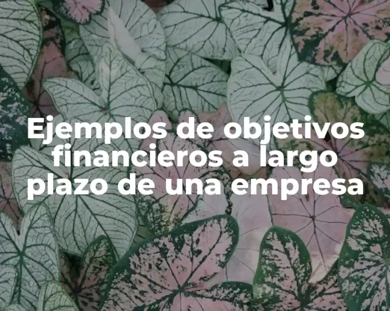Ejemplos de objetivos financieros a largo plazo de una empresa