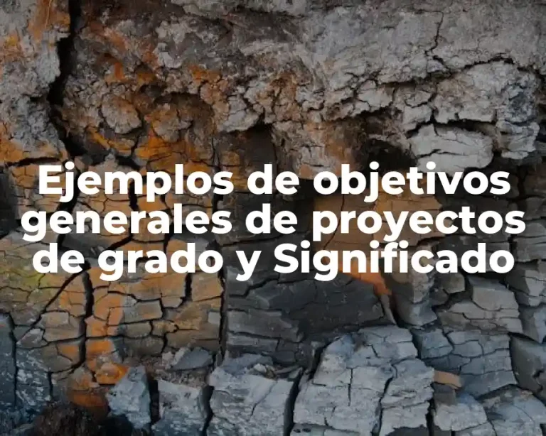Ejemplos de objetivos generales de proyectos de grado y Significado