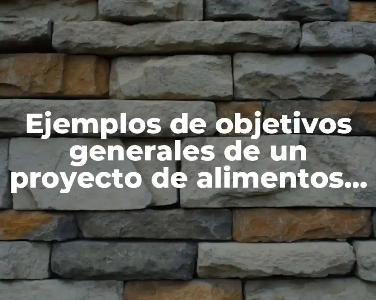 Ejemplos de objetivos generales de un proyecto de alimentos yogurt