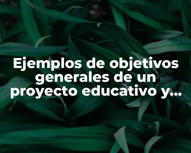 Ejemplos de objetivos generales de un proyecto educativo y Significado