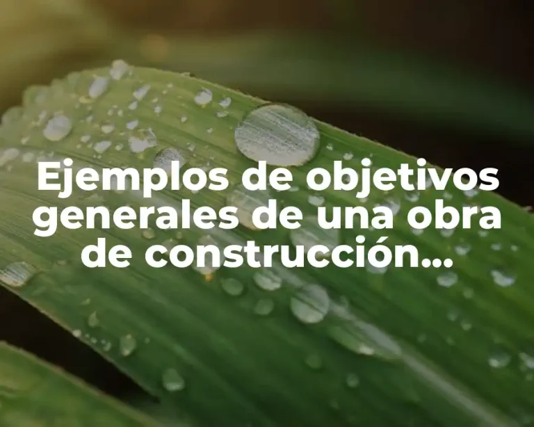 Ejemplos de objetivos generales de una obra de construcción hotelera