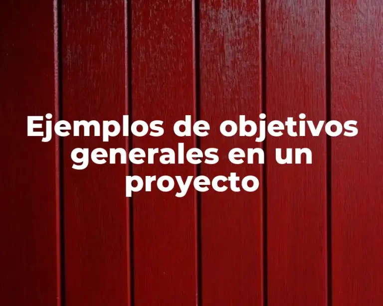 Ejemplos de objetivos generales en un proyecto