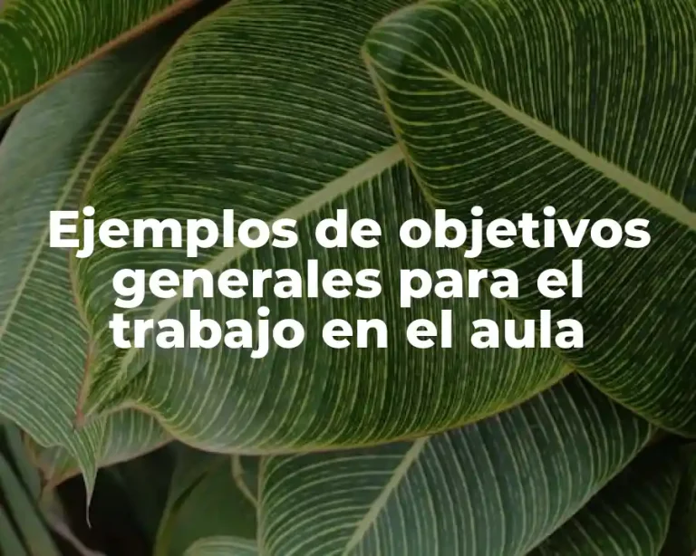 Ejemplos de objetivos generales para el trabajo en el aula