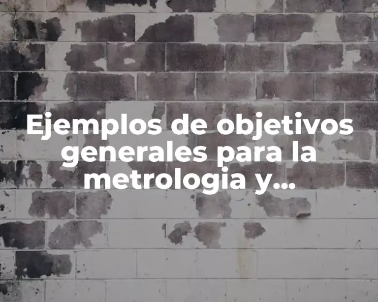 Ejemplos de objetivos generales para la metrologia y Significado