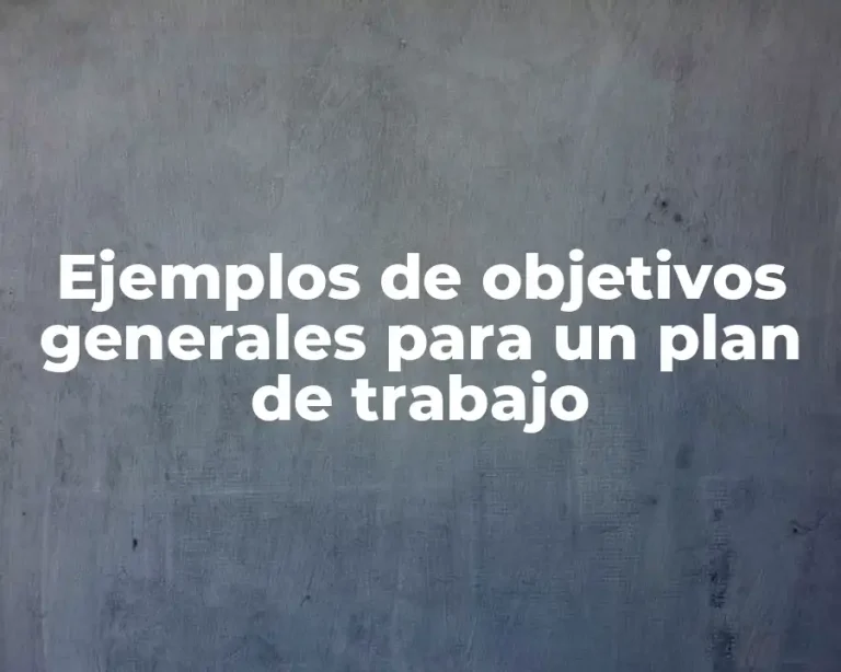 Ejemplos de objetivos generales para un plan de trabajo