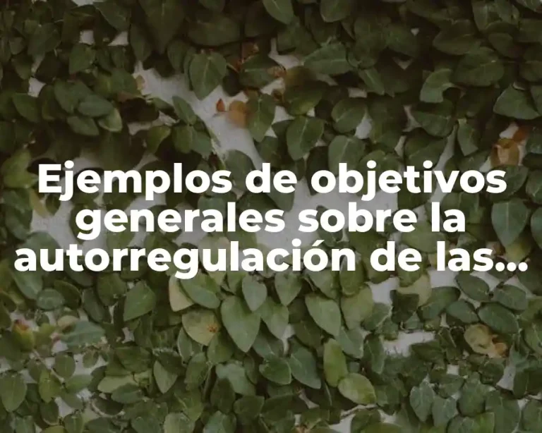 Ejemplos de objetivos generales sobre la autorregulación de las emociones y Significado