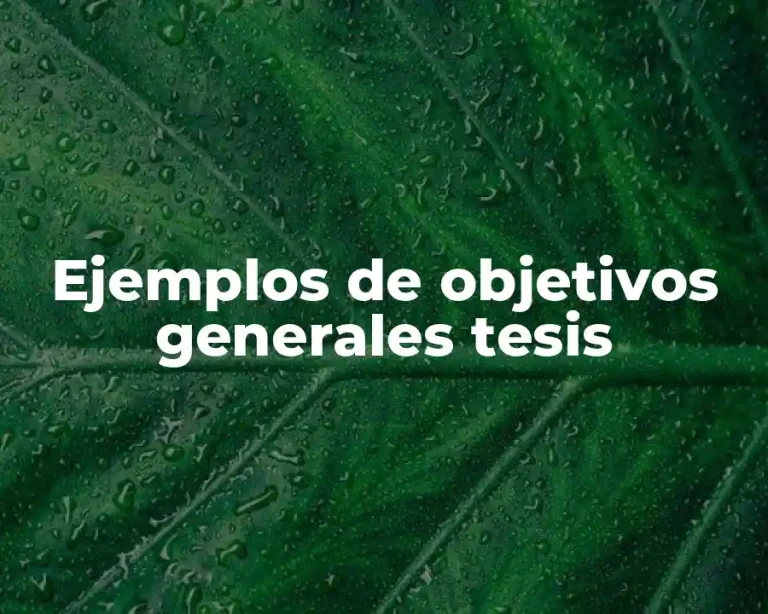 Ejemplos de objetivos generales tesis