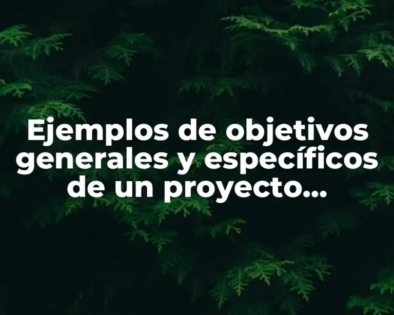Ejemplos de objetivos generales y específicos de un proyecto educativo