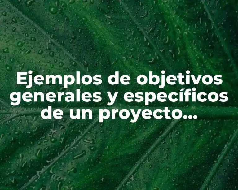 Ejemplos de objetivos generales y específicos de un proyecto productivo