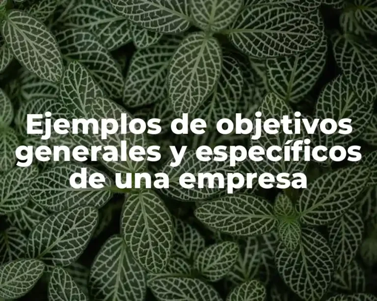 Ejemplos de objetivos generales y específicos de una empresa