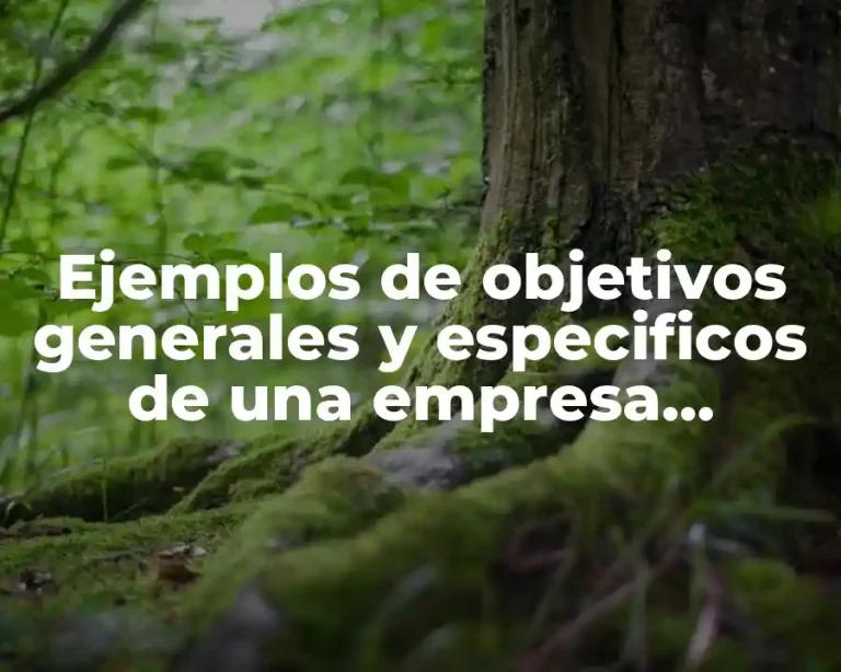 Ejemplos de objetivos generales y especificos de una empresa comercial y Significado