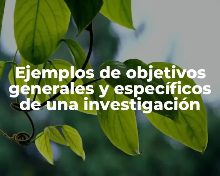 Ejemplos de objetivos generales y específicos de una investigación