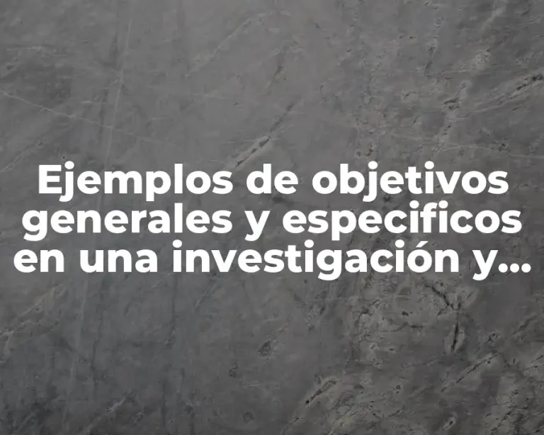 Ejemplos de objetivos generales y especificos en una investigación y Significado