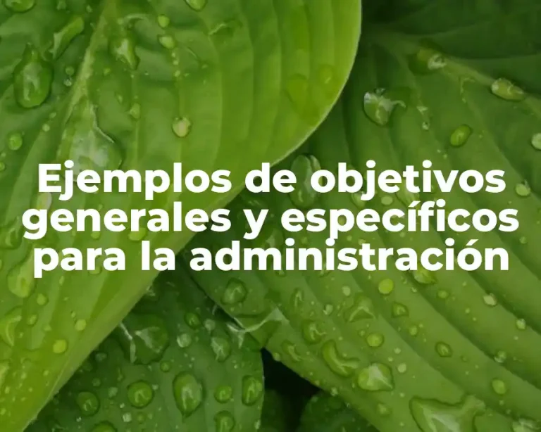 Ejemplos de objetivos generales y específicos para la administración
