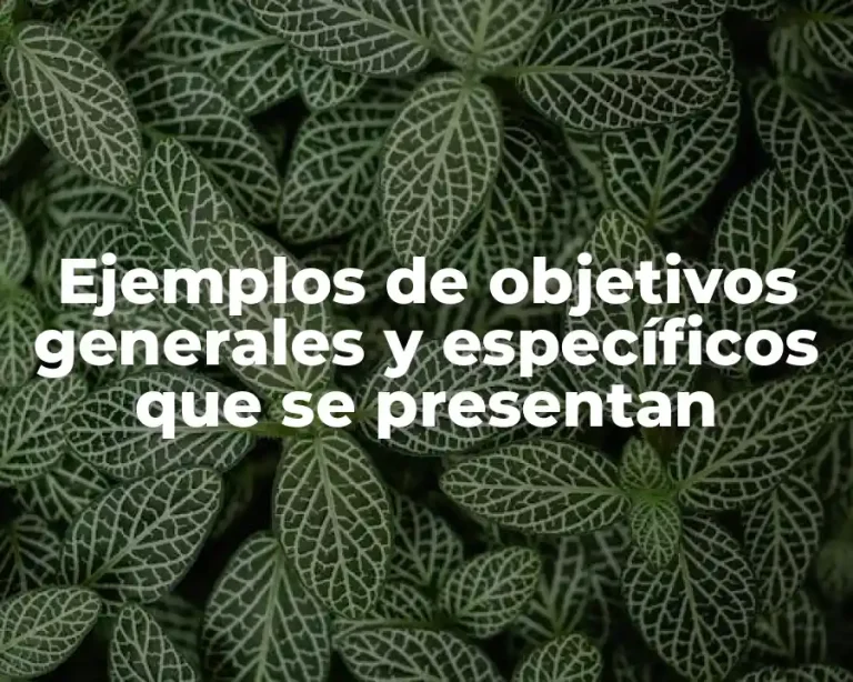 Ejemplos de objetivos generales y específicos que se presentan