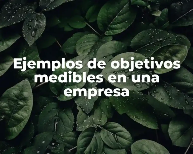 Ejemplos de objetivos medibles en una empresa