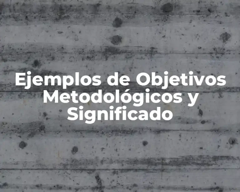 Ejemplos de Objetivos Metodológicos y Significado